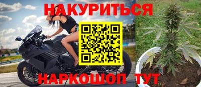 прущие грибы Ирбит