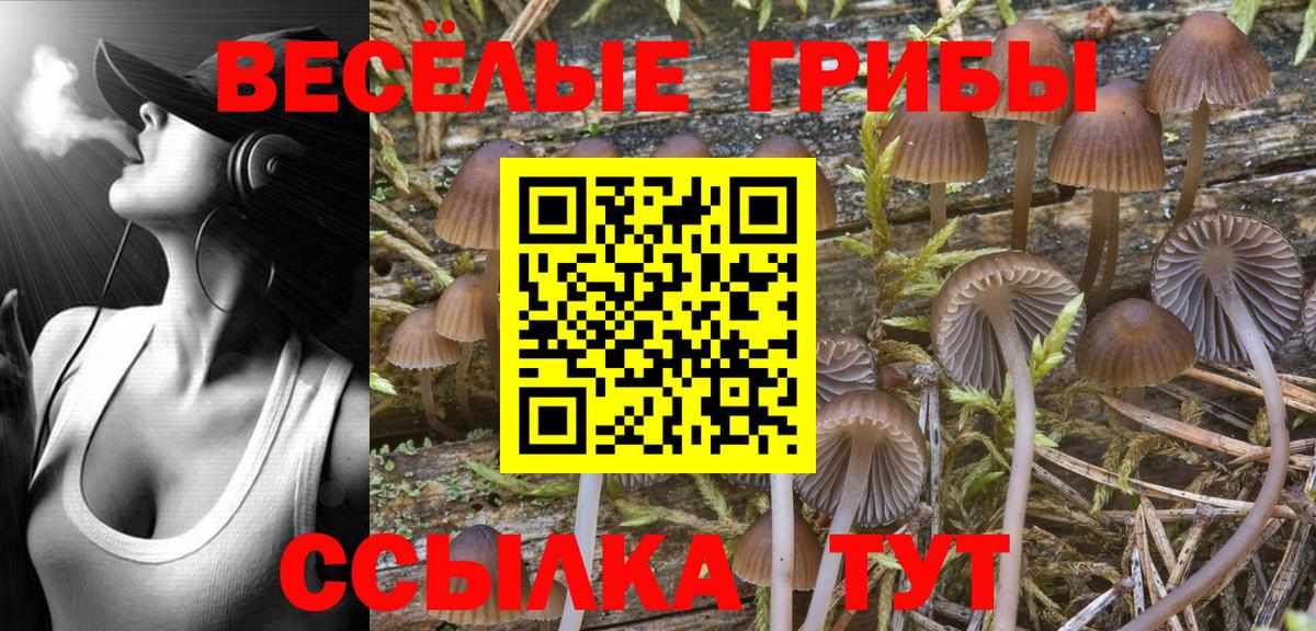 ГАШ  Чистополь  Меф кристаллы  КОКАИН  Вход с VPN  Конопля 