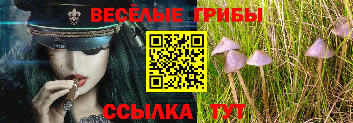 Псилоцибиновые грибы Cubensis  Псилоцибиновые грибы Psilocybe  Чистополь  Вход с VPN 